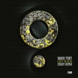 David Tort - Lost in Acid (Crusy Extended Remix)