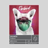 Galantis - Firebird (MÈTIS Remix)
