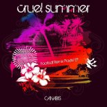 Canabis - Cruel Summer (Extended Dance Mashup)