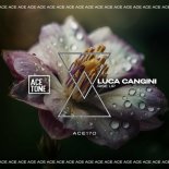 Luca Cangini - Rise Up (Original Mix)