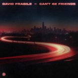 David Fragile - Can't Be Friends