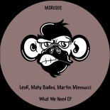 Martin Minnucci, Maty Badini, LeoK - What We Need (Original Mix)
