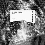 Pansil - If You Feel (Original Mix)