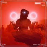 Soel - Leave No Trace (Original Mix)