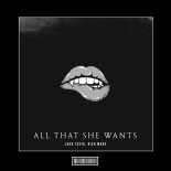 Luca Testa feat. Rich More - All That She Wants (Techno Remix)