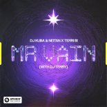 DJ Kuba & Neitan Feat. Terri B! - Mr. Vain