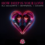 Ali Schwartz, 13imperial, CZYDMN - How Deep Is Your Love