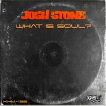 Josh Stone - What is soul? (Original Mix)
