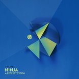 N1NJA - A Perfect Storm (Extended Version)
