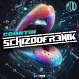 Schizoofr3nik - Countin (Original Mix)