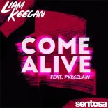 Liam Keegan, Pxcelain - Come Alive (Extednded Mix)