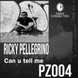 Ricky Pellegrino - Can u tell me (Original Mix)