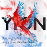 Yannek Maunz, Ivy Purple - Eye of the Storm (Felix Raphael Remix)