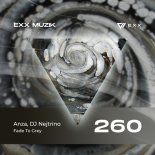 ANZA, DJ Nejtrino - Fade To Grey (Original Mix)