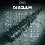 DJ Gollum - We Like It Hard