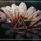 Sandro Puddu - I Got You (Original Mix)
