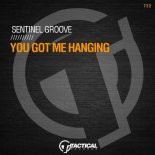 Sentinel Groove - You Got Me Hanging (Original Mix)