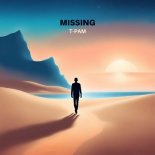 T-Pam - Missing (Original Mix)