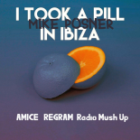 Mike Posner - I Took A Pill In Ibiza (Amice & Dj REGRAM Radio Mush Up)