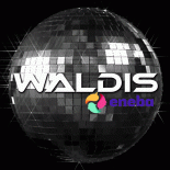 Waldis - You Will Die (Original Mix)