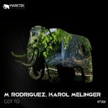M. Rodriguez, Karol Melinger - Got To (Original Mix)