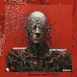 Newest - The Night (Original Mix)