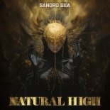 Sandro Silva - Natural High (Extended Mix)