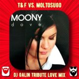 Moony feat.T&F vs. Moltosugo - Dove (DJ GALIN Tribute Love Mix)
