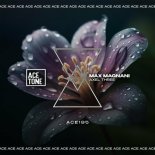 Max Magnani - Axel Three (Original Mix)