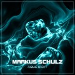 Markus Schulz - Liquid Night (Extended Mix)