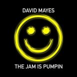 David Mayes - The Jam Is Pumpin (Original Mix)