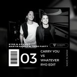 Martin Garrix & Third Party VS Kygo & Ava Max - Carry You VS Whatever (Ryo Bootleg)