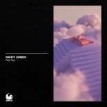 Nicky Jones - Na Na (Extended Mix)
