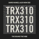 Dario Nunez, Alex Now (ES) - The Sound The Vibe (Extended Mix)