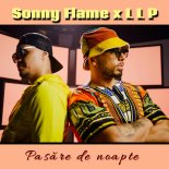 Sonny Flame feat. LLP - Pasare De Noapte