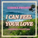LaRoxx Project - I Can Feel Your Love (SandRocks Holiday Mix)