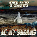 TESH - In My Dreams (Dance Short Version)