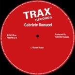 Gabriele Ranucci - Down Down (Original Mix)