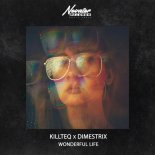 Killteq feat. DIMESTRIX - Wonderful Life