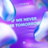 Fragile - If We Never See Tomorrow (Extended Mix)