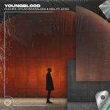 Gulmee, Dylan Baksalara & Mal Feat. ACKO - Youngblood (Techno Edit)
