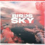 Newera - Birds In The Sky (Ryan Ennis Remix)