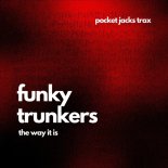 Funky Trunkers - The Way It Is (Extended Mix)