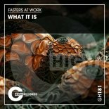 Fasters At Work - What It Is (Original Mix)