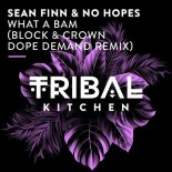 Sean Finn, No Hopes - What a Bam (Block & Crown Dope Demand Extended Remix)