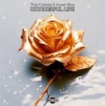 Sunset Bros, Tina Cousins - Wonderful Life (Extended Mix)
