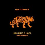 Hool, Mac Milio - Dangerous (Original Mix)