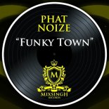 Phat Noize - Funky Town (Original Mix)