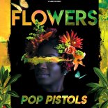 Pop Pistols - Flowers (Extended Mix)