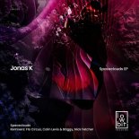 Jonas K - Spaceclouds (Flo Circus Peak Time Remix)